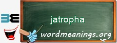 WordMeaning blackboard for jatropha